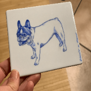  Miniatura Bulldog